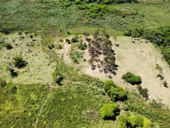 NATURPARADIES MIT 12,9 HEKTAR, HAUS UND EIGENEN QUELLEN – LA COLMENA / ACAHAY