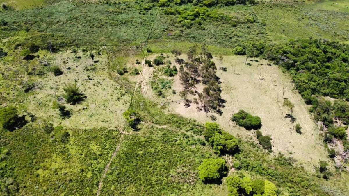 grundstueck-kaufen-la-colmena-paraguari-12hektar-haus (7) NATURPARADIES MIT 12,9 HEKTAR, HAUS UND EIGENEN QUELLEN – LA COLMENA / ACAHAY