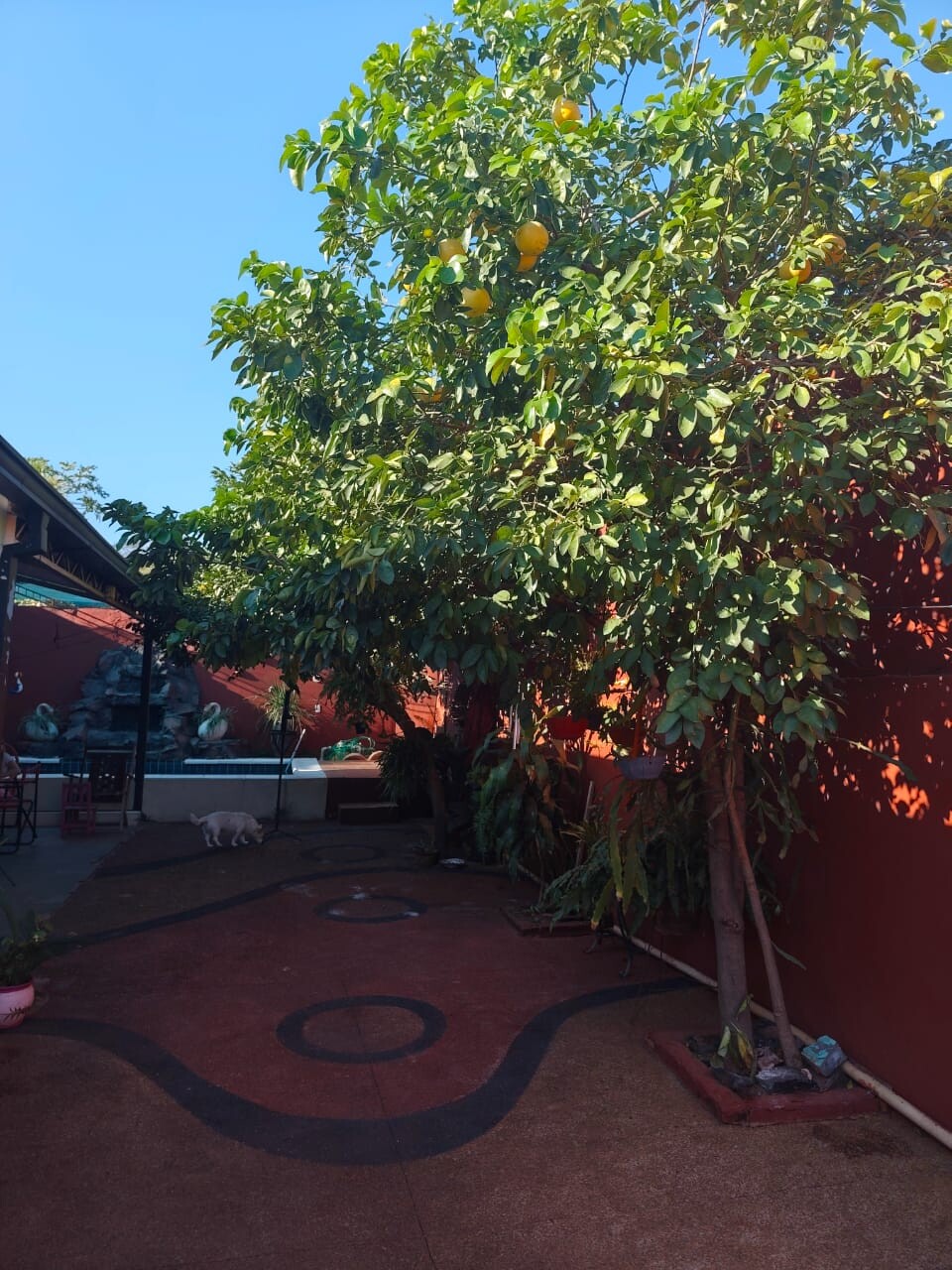 Sofort bezugsfertig in Areguá: Komplett möbliertes Massivhaus mit Pool & Quincho zu verkaufen