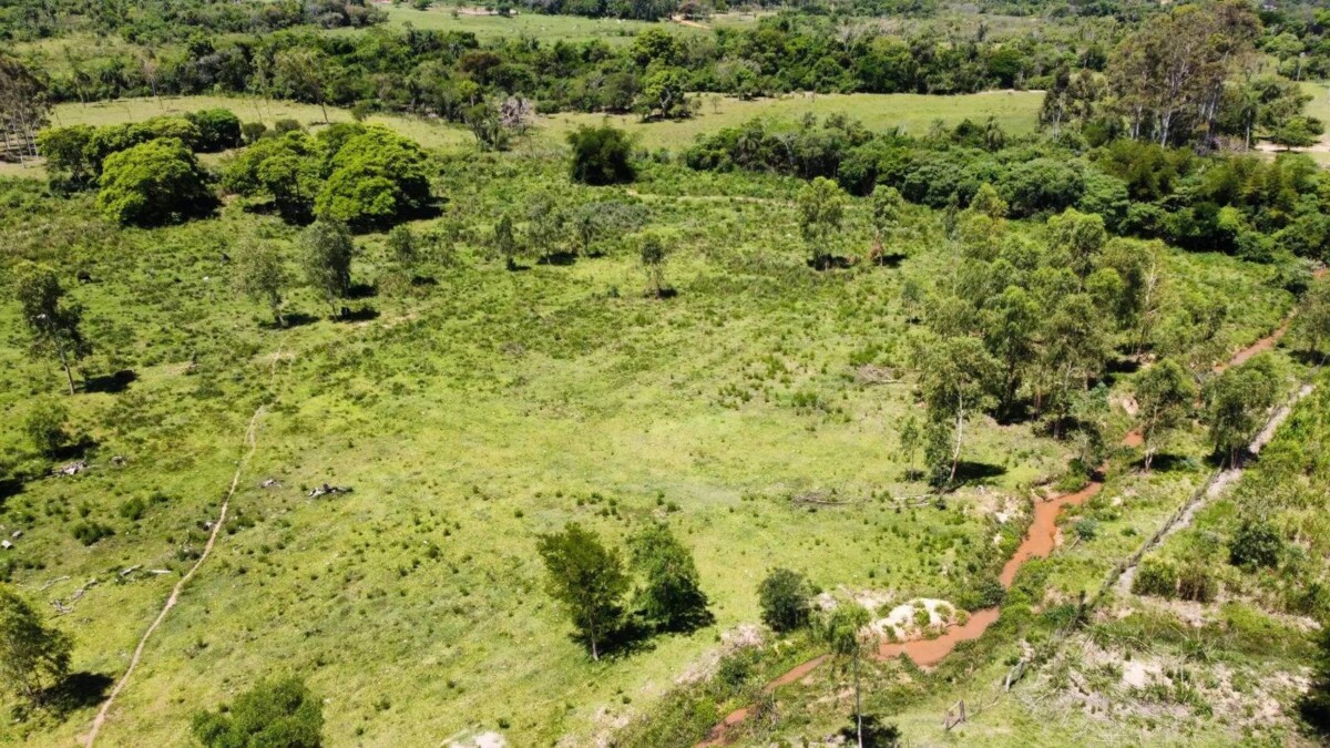 la-colmena-grundstueck-kaufen-paraguari-12hektar-haus (3) NATURPARADIES MIT 12,9 HEKTAR, HAUS UND EIGENEN QUELLEN – LA COLMENA / ACAHAY
