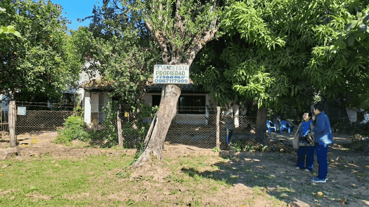 comprar-finca-imóvel-chaco-paraguai ÓTIMO INVESTIMENTO: Propriedade rural estratégica com residência em Benjamín Aceval (Rota Trans-Chaco) – 7,50 hectares