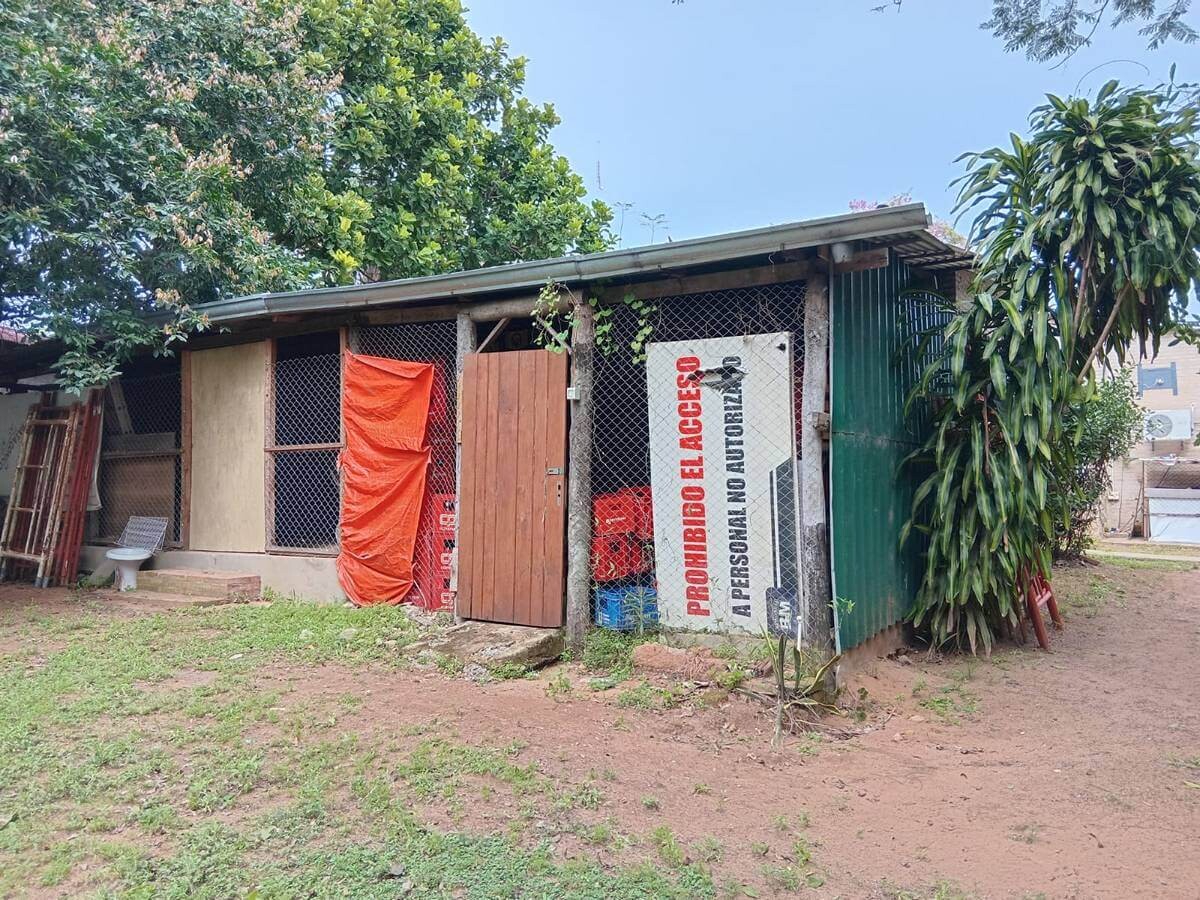 gewerbegrundstueck-kaufen-halle-wohnbereich-nueva-colombia (31) Gewerbe- & Lagerhalle mit Büro und Wohnbereich (Teil 1/2)