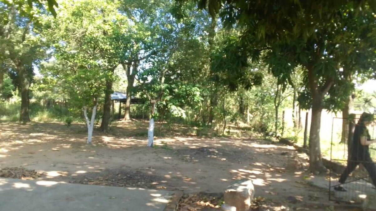 comprar-imóveis-no-Paraguai-Chaco-Trans ÓTIMO INVESTIMENTO: Propriedade rural estratégica com residência em Benjamín Aceval (Rota Trans-Chaco) – 7,50 hectares