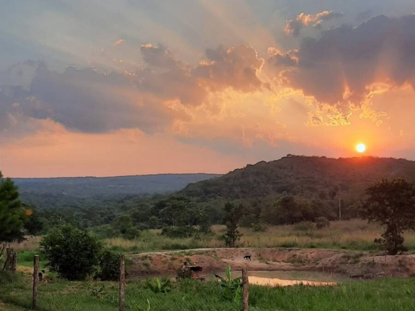 Ein Traum von Freiheit in Paraguay: 19 Hektar Naturschönheit „Eco-Felicitas“ mit 3 Häusern, & vielen Besonderheiten kaufen