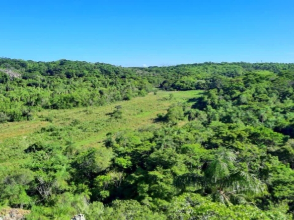 Ein Traum von Freiheit in Paraguay: 19 Hektar Naturschönheit „Eco-Felicitas“ mit 3 Häusern, & vielen Besonderheiten kaufen