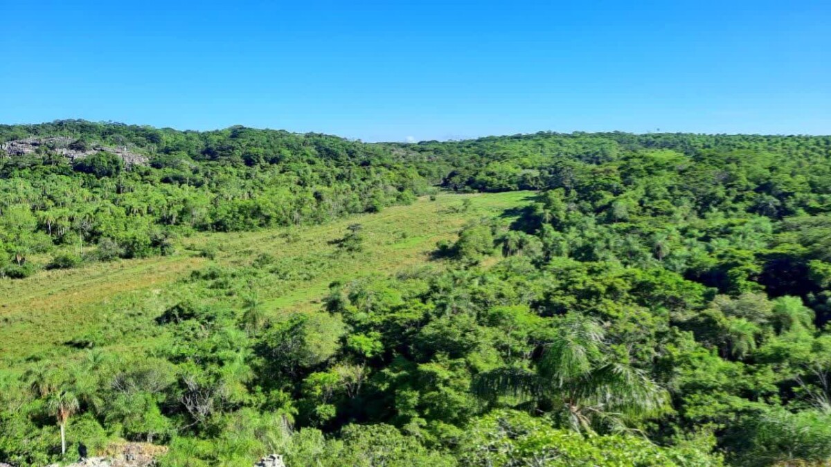 Ein Traum von Freiheit in Paraguay: 19 Hektar Naturschönheit „Eco-Felicitas“ mit 3 Häusern, & vielen Besonderheiten kaufen