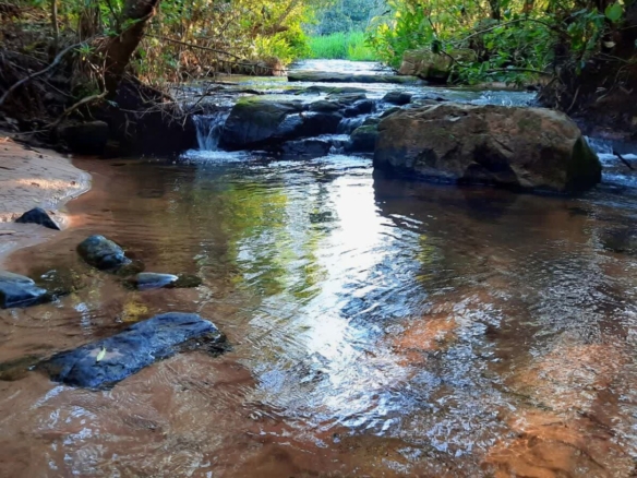 Ein Traum von Freiheit in Paraguay: 19 Hektar Naturschönheit „Eco-Felicitas“ mit 3 Häusern, & vielen Besonderheiten kaufen