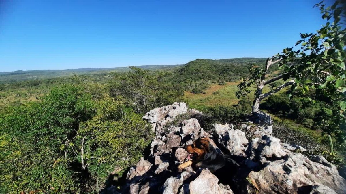 Ein Traum von Freiheit in Paraguay: 19 Hektar Naturschönheit „Eco-Felicitas“ mit 3 Häusern, & vielen Besonderheiten kaufen