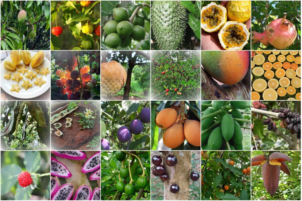 Ein Traum von Freiheit in Paraguay: 19 Hektar Naturschönheit „Eco-Felicitas“ mit 3 Häusern, & vielen Besonderheiten kaufen