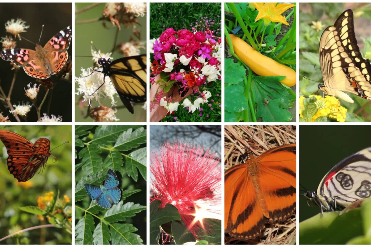 Ein Traum von Freiheit in Paraguay: 19 Hektar Naturschönheit „Eco-Felicitas“ mit 3 Häusern, & vielen Besonderheiten kaufen