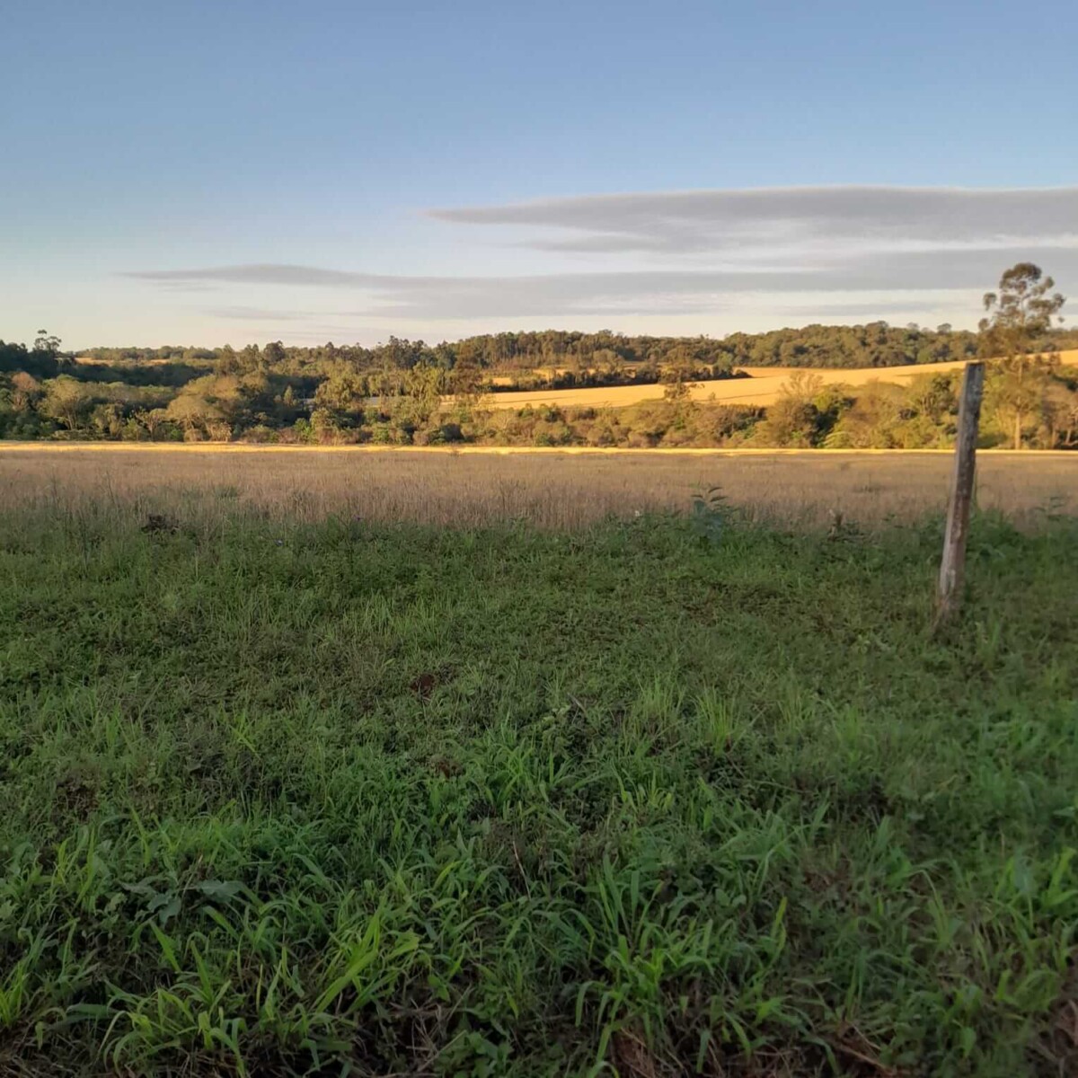 Paraguay Land Kaufen Grundstueck Quelle 3